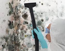 Best Residential Mold Inspection & Testing in Pendleton, IN